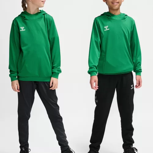 Hoodie/ junior/ hmlAUTHENTIC PL/ Hummel